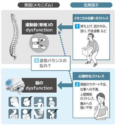 原因（メカニズム）と危険因子