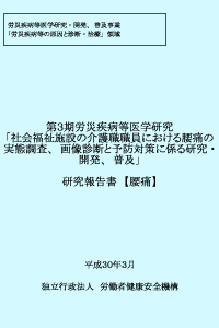 研究報告書